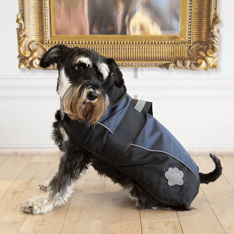Outech Sport Abrigo Negro con Azul para perros, , large image number null